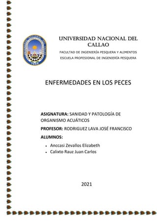 UNIVERSIDAD NACIONAL DEL
CALLAO
FACULTAD DE INGENIERÍA PESQUERA Y ALIMENTOS
ESCUELA PROFESIONAL DE INGENIERÍA PESQUERA
ASIGNATURA: SANIDAD Y PATOLOGÍA DE
ORGANISMO ACUÁTICOS
PROFESOR: RODRIGUEZ LAVA JOSÉ FRANCISCO
ALUMNOS:
 Anccasi Zevallos Elizabeth
 Calixto Rauz Juan Carlos
2021
ENFERMEDADES EN LOS PECES
 