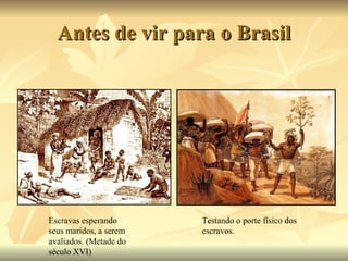 Antes de vir para o Brasil Escravas esperando seus maridos, a serem avaliados. (Metade do século XVI) Testando o porte físico dos escravos. 