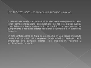 ESTUDIO TÉCNICO: NECESIDADES DE RECURSO HUMANO
El personal necesario para realizar las labores de nuestro proyecto, debe
tener competencias para desempeñarse en labores agropecuarias,
conocimientos sobre el cultivo de la papa criolla, para que pueda dar
cumplimiento a todas las labores necesarias de principio a fin durante la
cosecha.
En este sentido, como se trata de un negocio en una escala minúscula
desarrollado por una microempresa, se necesitarían alrededor de 8
empleados que cumplan labores
de preparación, vigilancia y
recolección del producto.

 
