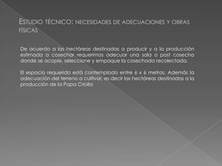 ESTUDIO TÉCNICO: NECESIDADES DE ADECUACIONES Y OBRAS
FÍSICAS
De acuerdo a las hectáreas destinadas a producir y a la producción
estimada a cosechar requerimos adecuar una sala o post cosecha
donde se acopie, seleccione y empaque la cosechada recolectada.

El espacio requerido está contemplado entre 6 x 6 metros. Además la
adecuación del terreno a cultivar, es decir las hectáreas destinadas a la
producción de la Papa Criolla

 