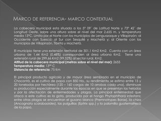 MARCO DE REFERENCIA- MARCO CONTEXTUAL
La cabecera municipal esta situada a los 5° 09´ de Latitud Norte y 73° 42´ de
Longitud Oeste, sobre una altura sobre el nivel del mar 2.655 m. y temperatura
media 13°C. Limita por el Norte con los municipios de Lenguazaque y Villapinzón; al
Occidente con Suesca; al Sur con Sesquilé y Machetá y; al Oriente con los
municipios de Villapinzón, Tibirita y Machetá.
El municipio tiene una extensión territorial de 301.1 Km2 Km2. Cuenta con un área
urbana de 1.44 Km2 (0.48%) corresponden al área urbana Km2. Tiene una
extensión rural de 299.66 Km2 (99.52%) al sector rural. Km2.
Altitud de la cabecera municipal (metros sobre el nivel del mar): 2655
Temperatura media: 13ºº C
Distancia de referencia: 75 Km
El principal producto agrícola y de mayor área sembrada en el municipio de
Chocontá, es el cultivo de papa con 850 Ha., su rendimiento se estima entre 15 y
20 toneladas por hectárea (120 – 160 cargas de 10 arrobas cada una), disminuye
su producción especialmente durante las épocas en que se presentan las heladas
y por la afectación de enfermedades y plagas. La principal enfermedad que
ataca a este cultivo es la gota, producida por el hongo Phytophthora infestans;
entre otras plagas se encuentran el gusano blanco (Premnotrypes Borax), la chiza
(Ancognata scarabaoides), las pulguillas (Epitrix spp.) y la palomilla guatemalteca
de la papa.

 