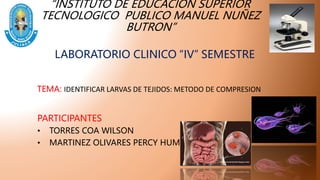 “INSTITUTO DE EDUCACION SUPERIOR
TECNOLOGICO PUBLICO MANUEL NUÑEZ
BUTRON”
LABORATORIO CLINICO “IV” SEMESTRE
TEMA: IDENTIFICAR LARVAS DE TEJIDOS: METODO DE COMPRESION
PARTICIPANTES
• TORRES COA WILSON
• MARTINEZ OLIVARES PERCY HUMBERTO
 