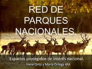 RED DE
PARQUES
NACIONALES.
Espacios protegidos de interés nacional.
Irene Ortiz y María Ortega 4ºA
 