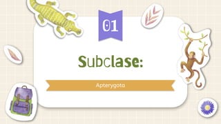 Subclase:
Apterygota
01
 