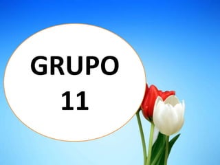 GRUPO
11
 