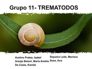 Grupo 11- TREMATODOS
Avelino Prates, Izabel
Araújo Betoni, Maria Amélia
Da Costa, Kamile
Siqueira Leite, Mariana
Sosa, Ana
 