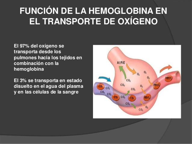 Transporte De Dioxido De Carbono En La Sangre Y En Los Liquidos Corp