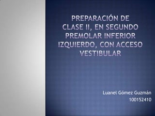 Luanel Gómez Guzmán
100152410
 