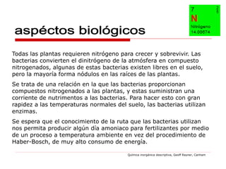 Todas las plantas requieren nitrógeno para crecer y sobrevivir. Las
bacterias convierten el dinitrógeno de la atmósfera en compuesto
nitrogenados, algunas de estas bacterias existen libres en el suelo,
pero la mayoría forma nódulos en las raíces de las plantas.
Se trata de una relación en la que las bacterias proporcionan
compuestos nitrogenados a las plantas, y estas suministran una
corriente de nutrimentos a las bacterias. Para hacer esto con gran
rapidez a las temperaturas normales del suelo, las bacterias utilizan
enzimas.
Se espera que el conocimiento de la ruta que las bacterias utilizan
nos permita producir algún día amoniaco para fertilizantes por medio
de un proceso a temperatura ambiente en vez del procedimiento de
Haber-Bosch, de muy alto consumo de energía.

                                         Química inorgánica descriptiva, Geoff Rayner, Canham
 