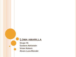 LOMA AMARILLA
Grupo 16:
Gustavo Adrianzén
Vivian Kolevic
Alvaro Luna Blondet
 