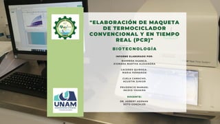 "ELABORACIÓN DE MAQUETA
DE TERMOCICLADOR
CONVENCIONAL Y EN TIEMPO
REAL (PCR)"
BIOTECNOLOGÍA
INFORME ELABORADO POR:
BARREDA HUANCA,
XIOMARA MARTHA ALEXANDRA
CACERES QUIROGA,
MARIA FERNANDA
CUELA CAMACHO,
AGUSTIN JUNIOR
PRUDENCIO MAMANI,
INGRID YHANIRA
DOCENTE:
DR. HEBERT HERNAN
SOTO GONZALES
 