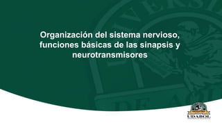 Organización del sistema nervioso,
funciones básicas de las sinapsis y
neurotransmisores
 