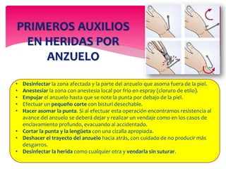 PRIMEROS AUXILIOS
EN HERIDAS POR
ANZUELO
• Desinfectar la zona afectada y la parte del anzuelo que asoma fuera de la piel.
• Anestesiar la zona con anestesia local por frío en espray (cloruro de etilo).
• Empujar el anzuelo hasta que se note la punta por debajo de la piel.
• Efectuar un pequeño corte con bisturí desechable.
• Hacer asomar la punta. Si al efectuar esta operación encontramos resistencia al
avance del anzuelo se deberá dejar y realizar un vendaje como en los casos de
enclavamiento profundo, evacuando al accidentado.
• Cortar la punta y la lengüeta con una cizalla apropiada.
• Deshacer el trayecto del anzuelo hacia atrás, con cuidado de no producir más
desgarros.
• Desinfectar la herida como cualquier otra y vendarla sin suturar.
 