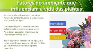 Fatores do ambiente que
influenciam a vida das plantas
As plantas são influenciadas por vários
fatores do ambiente, como a temperatura,
a luz, o solo e a água.
Cada tipo de planta necessita de uma
determinada temperatura para viver.
Nem todas as plantas necessitam da
mesma quantidade de luz.
Todas as plantas necessitam de água, mas
umas mais do que as outras. O solo contém
os sais minerais de que cada planta
necessita.
 