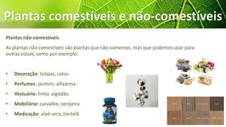 Plantas comestíveis e não-comestíveis
Plantas não-comestíveis
As plantas não comestíveis são plantas que não comemos, mas que podemos usar para
outras coisas, como por exemplo:
• Decoração: túlipas, catos
• Perfumes: jasmim, alfazema
• Vestuário: linho, algodão
• Mobiliário: carvalho, cerejeira
• Medicação: aloé vera, hortelã
 