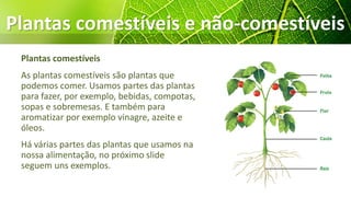 Plantas comestíveis e não-comestíveis
Plantas comestíveis
As plantas comestíveis são plantas que
podemos comer. Usamos partes das plantas
para fazer, por exemplo, bebidas, compotas,
sopas e sobremesas. E também para
aromatizar por exemplo vinagre, azeite e
óleos.
Há várias partes das plantas que usamos na
nossa alimentação, no próximo slide
seguem uns exemplos.
 