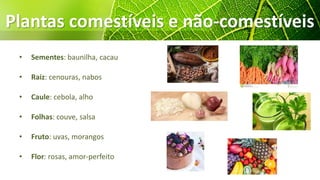 Plantas comestíveis e não-comestíveis
• Sementes: baunilha, cacau
• Raiz: cenouras, nabos
• Caule: cebola, alho
• Folhas: couve, salsa
• Fruto: uvas, morangos
• Flor: rosas, amor-perfeito
 
