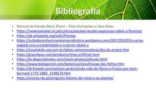 Bibliografia
• Manual de Estudo Meio 3ºano – Dina Guimarães e Sara Alves
• https://newinsetubal.nit.pt/cultura/setubal-recebe-exposicao-sobre-a-floresta/
• https://pt.wikipedia.org/wiki/Plantae
• https://cultodoconhecimentomacrobiotica.wordpress.com/2017/02/07/o-reino-
vegetal-cria-a-estabilidade-e-o-terror-abate-a
• https://escolakids.uol.com.br/datas-comemorativas/dia-da-arvore.htm
• https://grass4you.com/products/relva-artificial-trevi
• https://br.depositphotos.com/stock-photos/arbusto.html
• https://www.biologianet.com/botanica/classificacao-das-folhas.htm
• https://br.freepik.com/vetores-gratis/ainda-vida-de-flores-e-frutos-por-jean-
bernard-1775-1883_3198174.htm
• https://ensina.rtp.pt/artigo/os-fatores-do-meio-e-as-plantas/
 