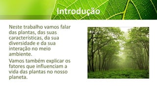 Introdução
Neste trabalho vamos falar
das plantas, das suas
características, da sua
diversidade e da sua
interação no meio
ambiente.
Vamos também explicar os
fatores que influenciam a
vida das plantas no nosso
planeta.
 