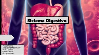 Sistema Digestivo
-Paula Molina
-Jacqueline Maldonado
-Juan Collinao
-Pamela Rivas
-Sindy Alarcón
 