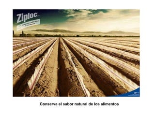 Conserva el sabor natural de los alimentos