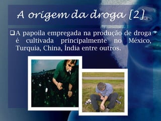 Consequências na utilização das Drogas;