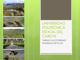 UNIVERSIDAD
POLITÉCNICA
ESTATAL DEL
CARCHI
TURISMO & ECOTURISMO
DIAGRAMA DE FLUJO
 