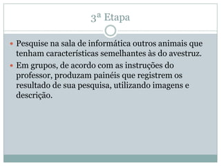 3ª Etapa
 Pesquise na sala de informática outros animais que
tenham características semelhantes às do avestruz.
 Em grupos, de acordo com as instruções do
professor, produzam painéis que registrem os
resultado de sua pesquisa, utilizando imagens e
descrição.
 