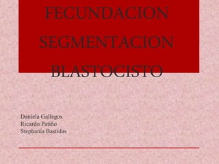FECUNDACION
SEGMENTACION
BLASTOCISTO
Daniela Gallegos
Ricardo Patiño
Stephania Bastidas
 