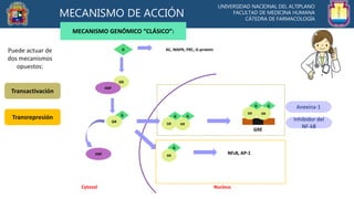 UNIVERSIDAD NACIONAL DEL ALTIPLANO
FACULTAD DE MEDICINA HUMANA
CÁTEDRA DE FARMACOLOGÍA
G AC, MAPK, PKC, G-protein
GR
HSP
G...