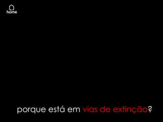 porque está em vias de extinção?
 
