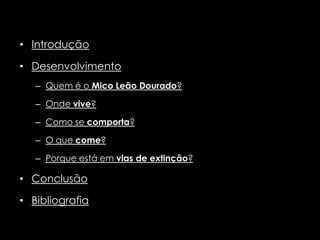 • Introdução

• Desenvolvimento
   – Quem é o Mico Leão Dourado?

   – Onde vive?

   – Como se comporta?

   – O que come?

   – Porque está em vias de extinção?

• Conclusão

• Bibliografia
 