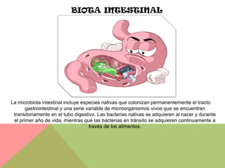 BIOTA INTESTINAL




La microbiota intestinal incluye especies nativas que colonizan permanentemente el tracto
       gastrointestinal y una serie variable de microorganismos vivos que se encuentran
 transitoriamente en el tubo digestivo. Las bacterias nativas se adquieren al nacer y durante
 el primer año de vida, mientras que las bacterias en tránsito se adquieren continuamente a
                                     través de los alimentos.
 
