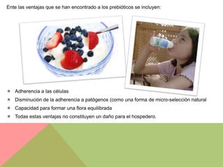 Ente las ventajas que se han encontrado a los prebióticos se incluyen:




 Adherencia a las células
 Disminución de la adherencia a patógenos (como una forma de micro-selección natural
 Capacidad para formar una flora equilibrada
 Todas estas ventajas no constituyen un daño para el hospedero.
 