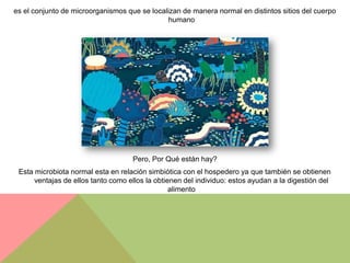 es el conjunto de microorganismos que se localizan de manera normal en distintos sitios del cuerpo
                                              humano




                                    Pero, Por Qué están hay?
 Esta microbiota normal esta en relación simbiótica con el hospedero ya que también se obtienen
      ventajas de ellos tanto como ellos la obtienen del individuo: estos ayudan a la digestión del
                                                 alimento
 