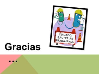 Gracias
…
 