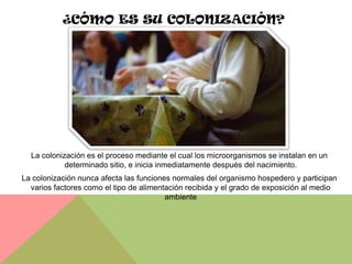 ¿CÓMO ES SU COLONIZACIÓN?




  La colonización es el proceso mediante el cual los microorganismos se instalan en un
            determinado sitio, e inicia inmediatamente después del nacimiento.
La colonización nunca afecta las funciones normales del organismo hospedero y participan
  varios factores como el tipo de alimentación recibida y el grado de exposición al medio
                                         ambiente
 