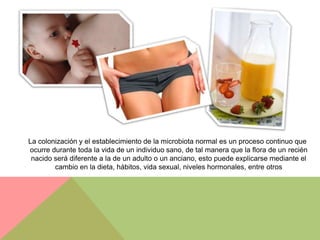 La colonización y el establecimiento de la microbiota normal es un proceso continuo que
ocurre durante toda la vida de un individuo sano, de tal manera que la flora de un recién
 nacido será diferente a la de un adulto o un anciano, esto puede explicarse mediante el
        cambio en la dieta, hábitos, vida sexual, niveles hormonales, entre otros
 