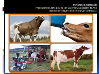 Portafolio Empresarial
Productor de Leche Bovina con Sistema Silvopastoril de Alto
Rendimiento Nutricional «Cero Concentrados»
 