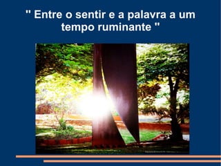 '' Entre o sentir e a palavra a um
        tempo ruminante ''
 