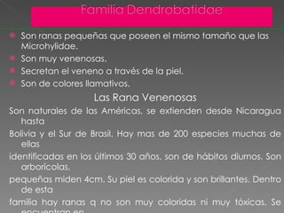Son ranas pequeñas que poseen el mismo tamaño que las Microhylidae. Son muy venenosas. Secretan el veneno a través de la piel. Son de colores llamativos. Las Rana Venenosas Son naturales de las Américas, se extienden desde Nicaragua hasta Bolivia y el Sur de Brasil. Hay mas de 200 especies muchas de ellas  identificadas en los últimos 30 años, son de hábitos diurnos. Son arborícolas,  pequeñas miden 4cm. Su piel es colorida y son brillantes. Dentro de esta  familia hay ranas q no son muy coloridas ni muy tóxicas. Se encuentran en  los mercados de mascotas y que las criadas en cautiverio y alimentadas  como mascotas no demuestran ser tan tóxicas como la misma especie en la  naturaleza. Habitan donde la temperatura y humedad se mantiene estable 