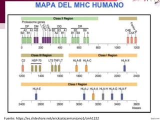 Fuente: https://es.slideshare.net/ericksalazarmanzano1/cmh1222
 