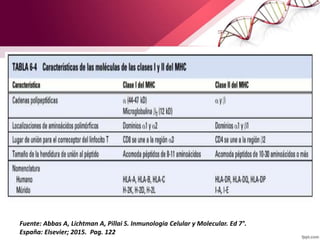 Fuente: Abbas A, Lichtman A, Pillai S. Inmunologia Celular y Molecular. Ed 7°.
España: Elsevier; 2015. Pag. 122
 
