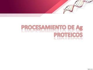 PROCESAMIENTO DE Ag
PROTEICOS
 