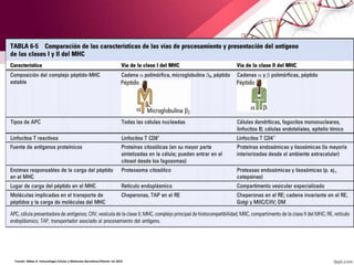 Fuente: Abbas A. Inmunologia Celular y Molecular.Barcelona:ElSevier Inc.2015
 