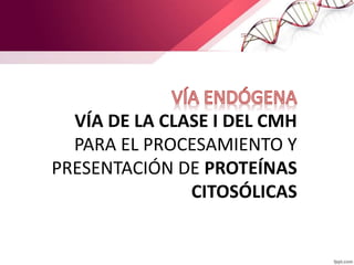 VÍA DE LA CLASE I DEL CMH
PARA EL PROCESAMIENTO Y
PRESENTACIÓN DE PROTEÍNAS
CITOSÓLICAS
 