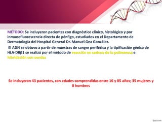 MÉTODO: Se incluyeron pacientes con diagnóstico clínico, histológico y por
inmunofluorescencia directa de pénfigo, estudiados en el Departamento de
Dermatología del Hospital General Dr. Manuel Gea González.
El ADN se obtuvo a partir de muestras de sangre periférica y la tipificación génica de
HLA-DRβ1 se realizó por el método de reacción en cadena de la polimerasa e
hibridación con sondas
Se incluyeron 43 pacientes, con edades comprendidas entre 16 y 85 años; 35 mujeres y
8 hombres
 