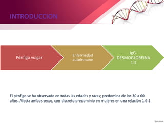 INTRODUCCION
El pénfigo se ha observado en todas las edades y razas; predomina de los 30 a 60
años. Afecta ambos sexos, con discreto predominio en mujeres en una relación 1.6:1
Pénfigo vulgar
Enfermedad
autoinmune
IgG-
DESMOGLOBEINA
1-3
 