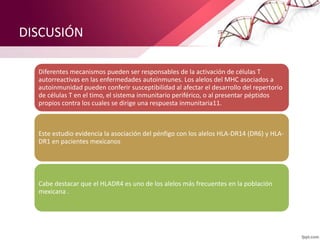 DISCUSIÓN
Diferentes mecanismos pueden ser responsables de la activación de células T
autorreactivas en las enfermedades autoinmunes. Los alelos del MHC asociados a
autoinmunidad pueden conferir susceptibilidad al afectar el desarrollo del repertorio
de células T en el timo, el sistema inmunitario periférico, o al presentar péptidos
propios contra los cuales se dirige una respuesta inmunitaria11.
Este estudio evidencia la asociación del pénfigo con los alelos HLA-DR14 (DR6) y HLA-
DR1 en pacientes mexicanos
Cabe destacar que el HLADR4 es uno de los alelos más frecuentes en la población
mexicana .
 