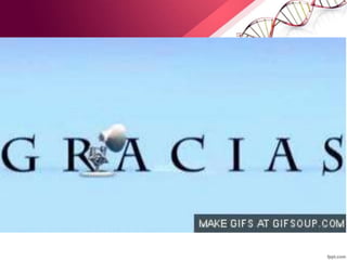 CMH y Procesamiento de antigenos